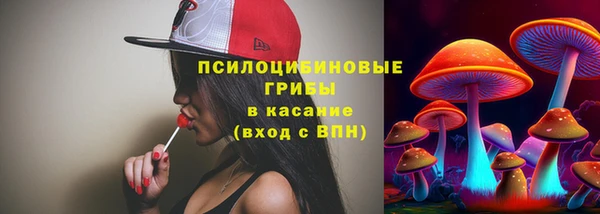 герыч Пересвет
