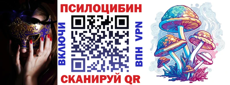 Галлюциногенные грибы Psilocybe  Солигалич 